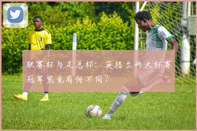 联赛杯与足总杯:英格兰两大杯赛冠军究竟有何不同?