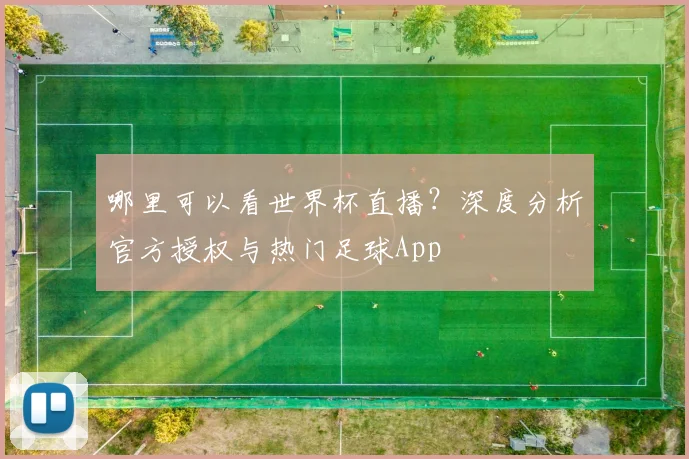哪里可以看世界杯直播?深度分析官方授权与热门足球App